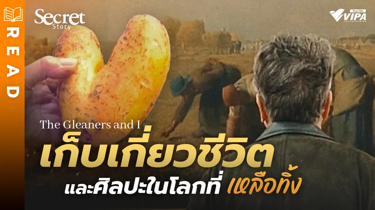 Related Article Thumbnail