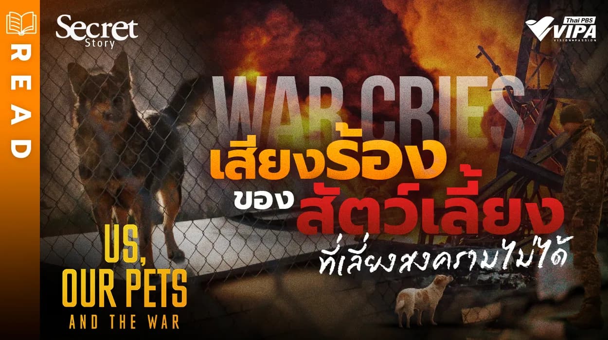 Related Article Thumbnail