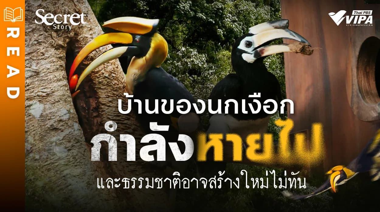 Related Article Thumbnail