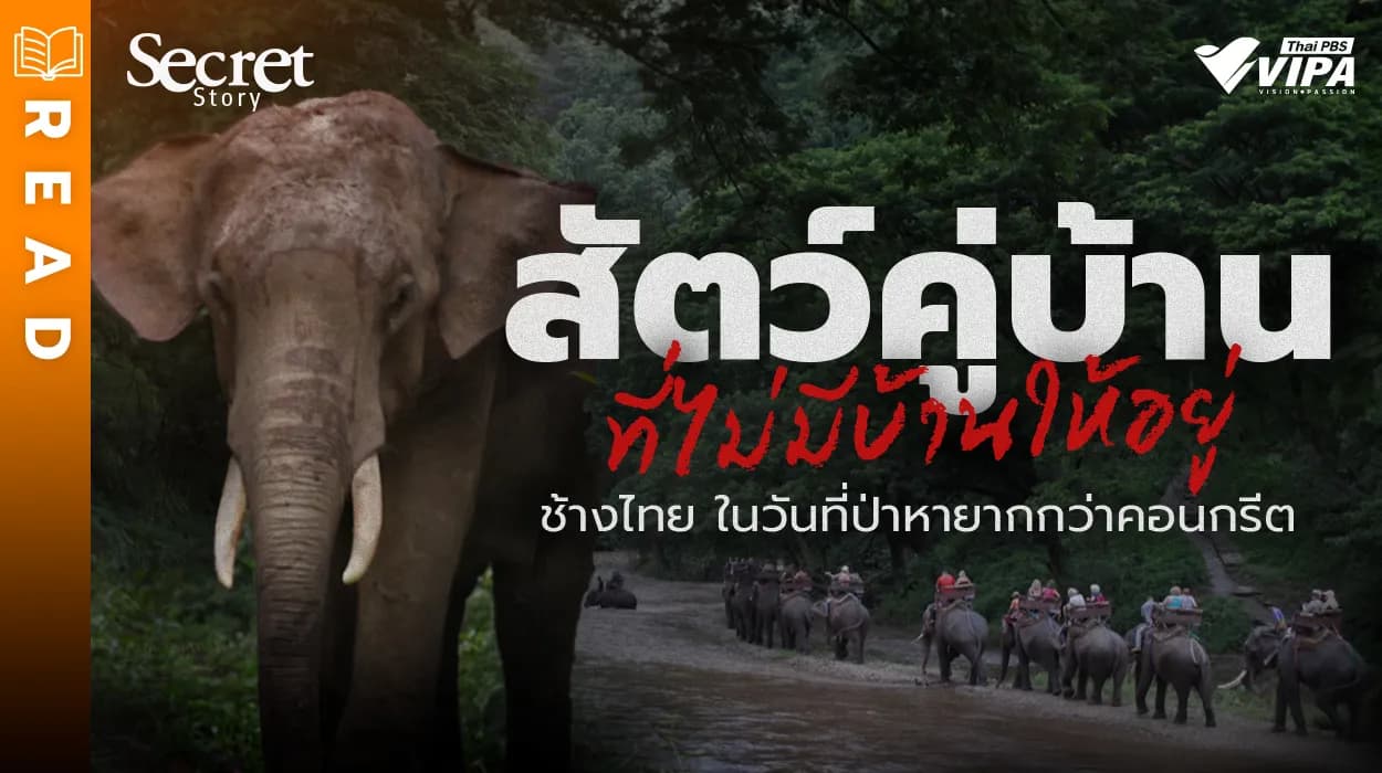 Related Article Thumbnail