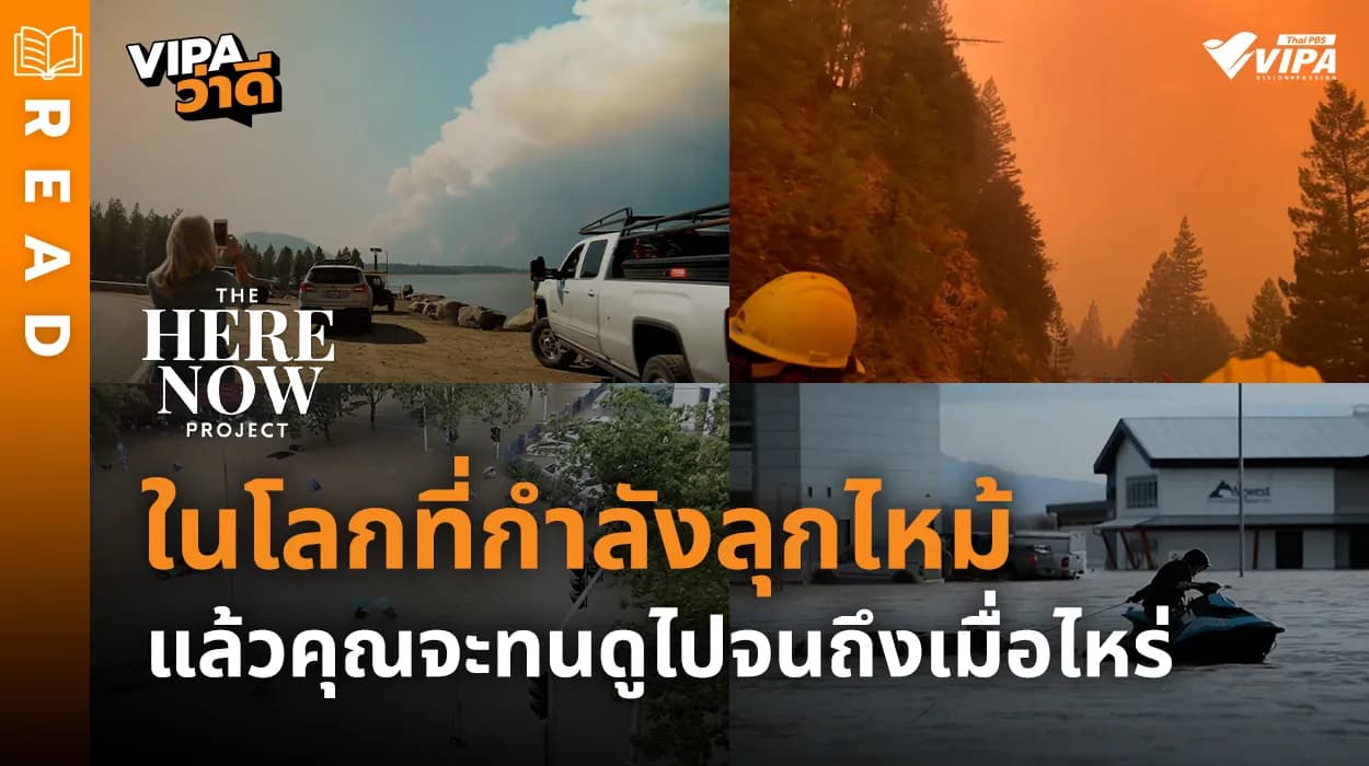 Related Article Thumbnail